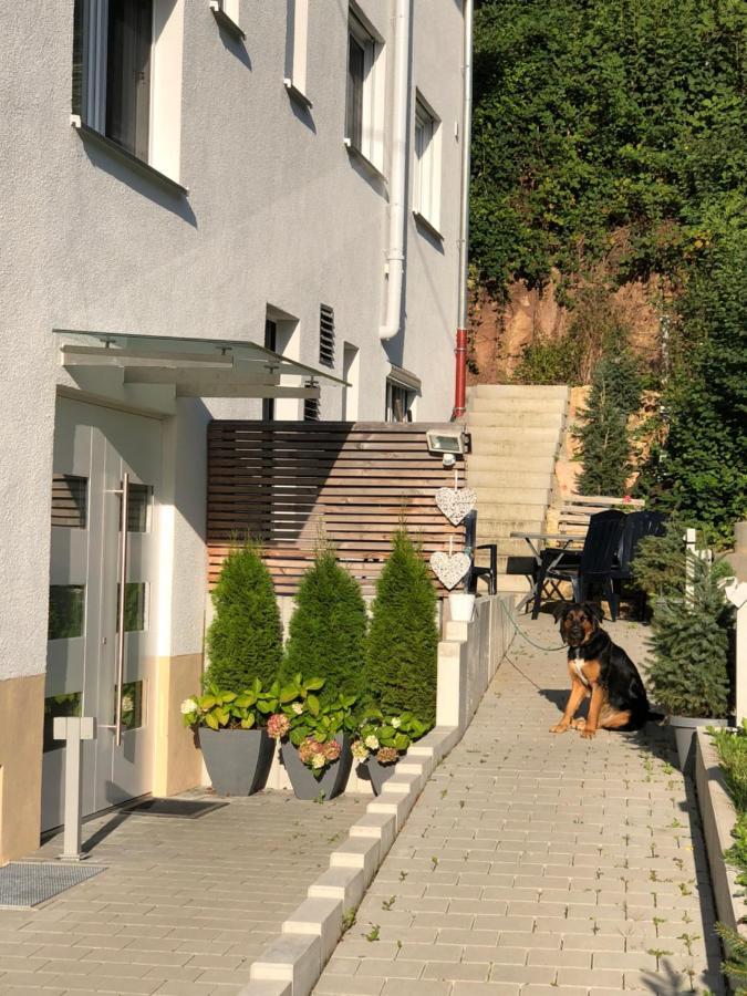 Ferienwohnungen Lamisto Am Waldesrand Neckartenzlingen Exterior foto